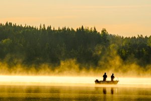 Guided fishing tours in Sweden with local guide and catching guarantee.