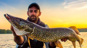 Pike fishing in Sweden with our fishing guide Henrik Olsson.