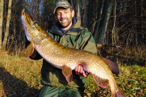 A real Swedish pike caught while pike fishing in Sweden.