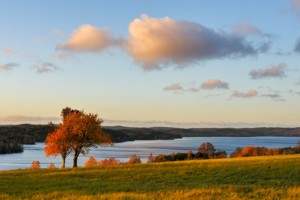 Der Nachbar- See Ören in Schweden in der Abendsonne.