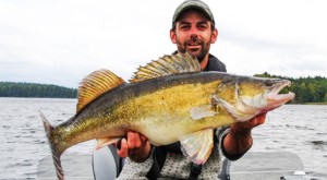 Zander Angeln in Schweden am Stora Ntaren: eines der besten Zander Gewsser in Schweden.