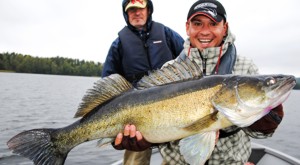 Angelurlaub in Schweden: Riesen Zander gefangen auf einer gefhrten Angeltour auf dem See Bunn.