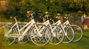 Fahrrad Vermietung: Mieten Sie 4 Fahrräder an unseren Ferienhäusern in Schweden.