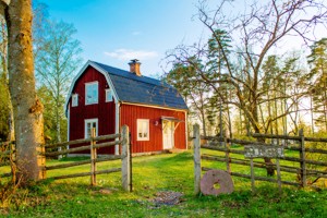 Urlaub im Ferienhaus Bjrkebo in Schweden am See Stora Ntaren am Rande eines Bauernhofes.