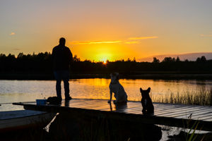 Das Ferienhaus Lnneberga liegt in Alleinlage 500m Luftlinie vom See entfernt, hat einen Zaun bzw. ein eigezuntes Grundstck und ist so ideal fr einen Urlaub mit Hund.