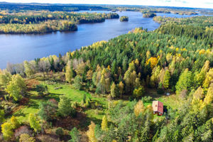 Unser Haus 38 steht in Alleinlage ohne Nachbarn auf einem groen Seegrundstck und eignet sich gut fr einen Urlaub mit Hund.