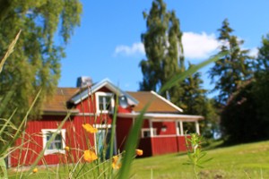 Ferienhaus fr Angler am Stora Ntaren in Schweden.